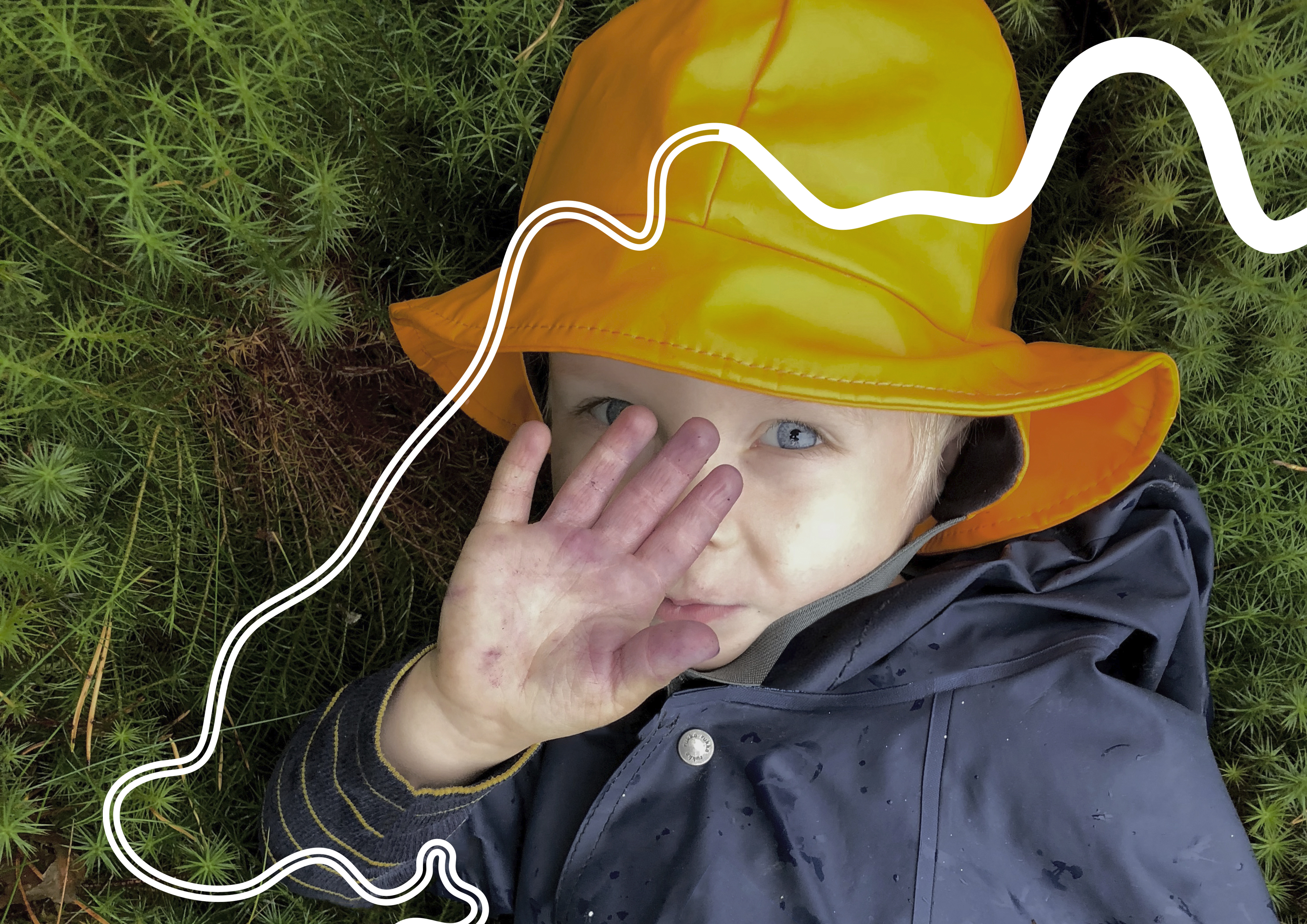 Sauvon visuaalinen ilme ja ilmeen elementtien käyttö