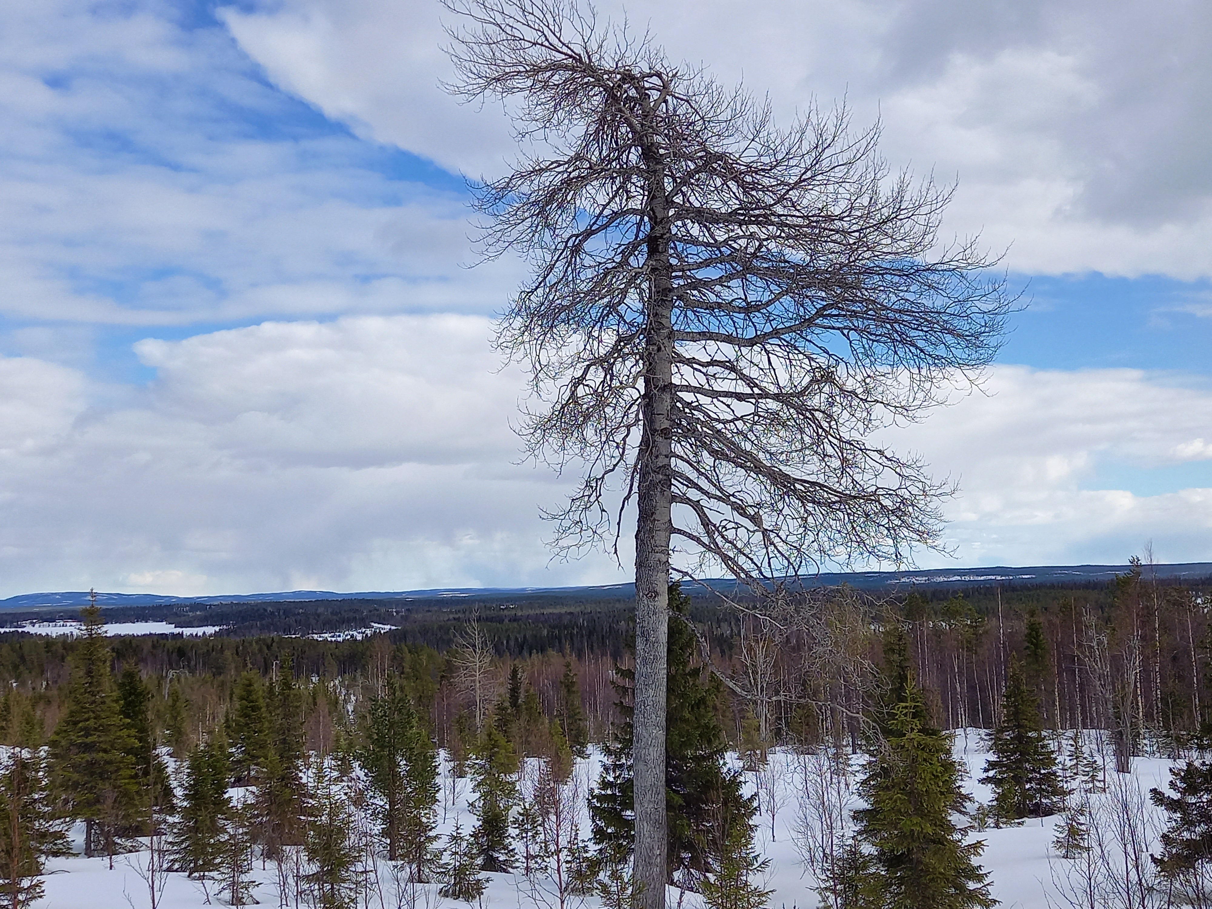 Mukana elämässä Itsemurhien ehkäisy -hanke