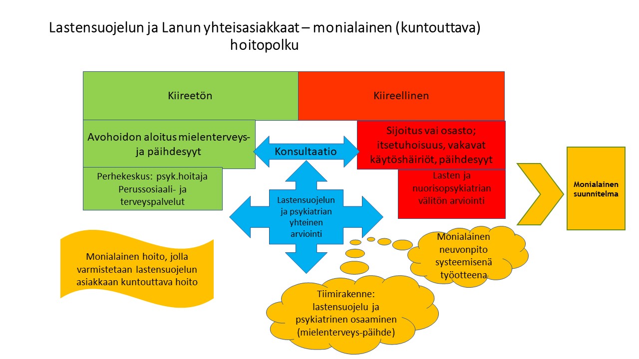 Lastensuojelun ja lasten ja nuorten psykiatrisen työryhmän (Lanun) yhteisasiakkaiden hoitopolku