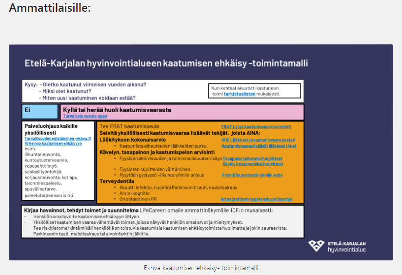 Etelä-Karjalan kaatumisen ehkäisyn toimintamalli ammattilaiselle