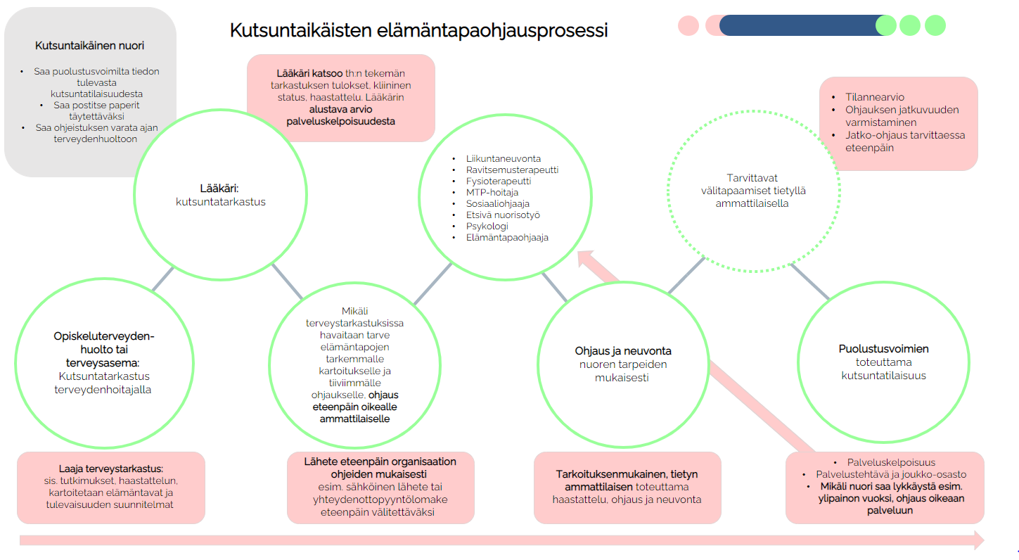 Kutsuntaikäisten elämäntapaohjaus, prosessikuva