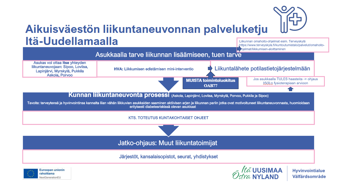 Liikuntaneuvonnan palveluketju