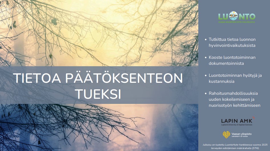 Tietoa päätöksenteon tueksi-kuva