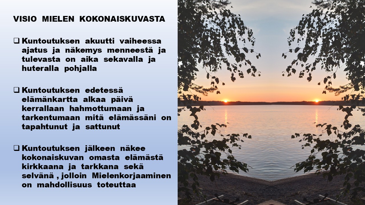 Visio mielen kokonaisuus🌞
