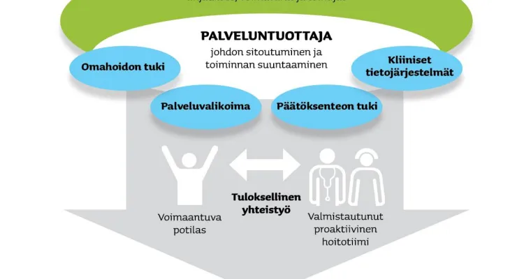 Terveyshyötymalli - Chronic care model (CCM)