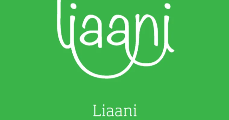 Liaani -hanke: Arviointikehikko-työkalu nuorten palveluiden kehittäjille
