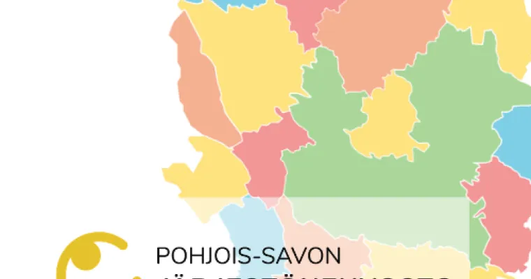 Pohjois-Savon Järjestöneuvosto. Verkostoihin perustuva toimintamalli. 