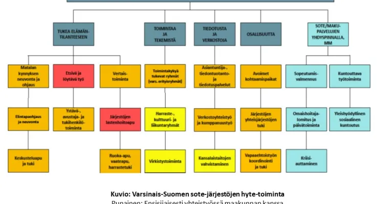 Sote-järjestöjen hyte-toiminnan näkyväksi tekeminen yhteisen kuvaamisen mallilla