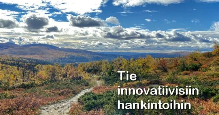 Keep it simple - Get is smart,  innovaatiomyönteinen hankintatoimi