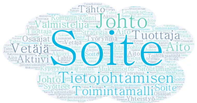 Soiten tietojohtamisen toimintamalli