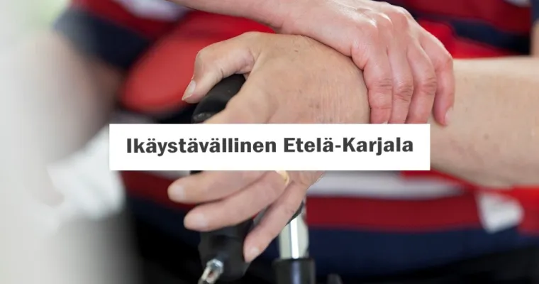 Etelä-Karjalan kaatumisen ehkäisy -malli