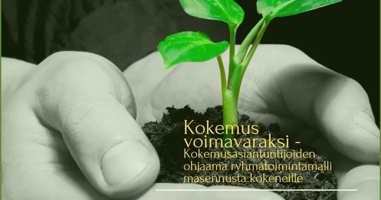 Kokemus voimavaraksi - Kokemusasiantuntijoiden ohjaama ryhmätoimintamalli masennuksesta toipuville     
