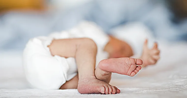 Päiväperho - Päihde- ja riippuvuusongelmista kärsivien raskaana olevien ja pikkulapsiperheiden maakunnallinen tuki ja palvelukokonaisuus 