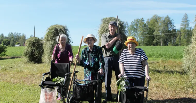 Koordinoidun perhehoidon toimintamalli (ikäihmiset)