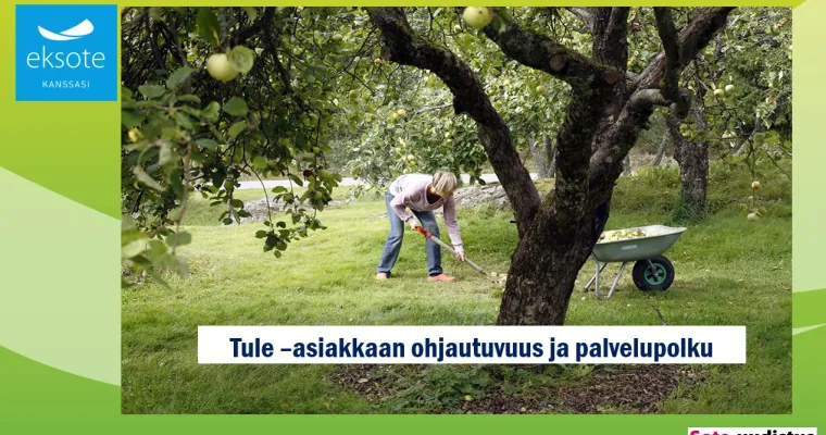Tule-asiakkaan palvelupolku, oikeat asiakkaat oikealle ammattilaiselle