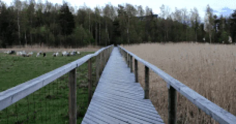 Lastensuojelun käytäntösuositukset