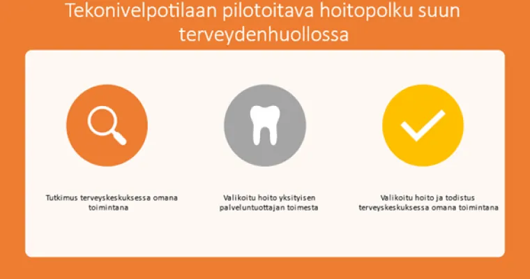Perustason suun hoitoa muun sairautensa vuoksi tarvitsevien potilaiden hoitopolku 