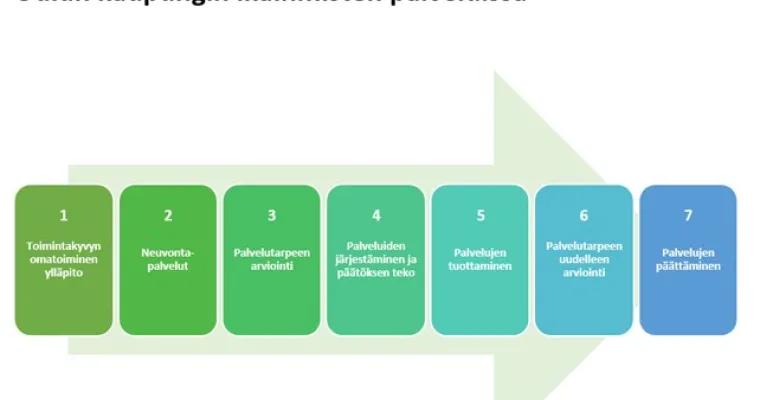 Kotona asumista tukevien teknologioiden käyttöönotto ikäihmisten palveluissa Oulussa