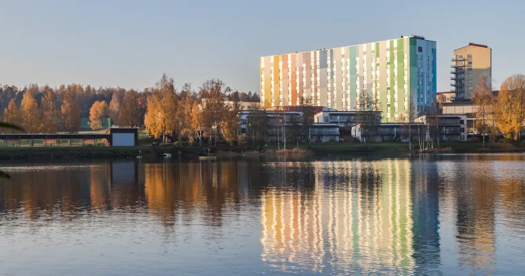 Perusterveydenhuollon pitkäaikaissairaan hoitopolku Etelä-Karjalassa