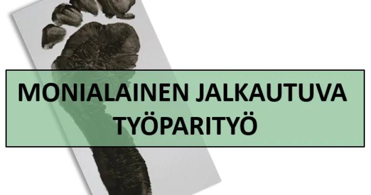 Monialainen jalkautuva työparityö