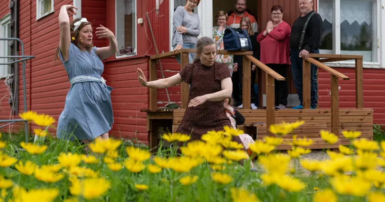 Pohjoisen uudet polut - Hyvinvointia taiteesta ikäihmisille 