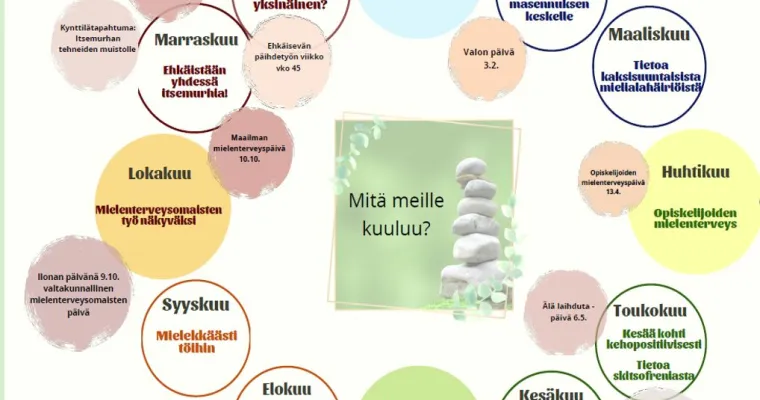 Miepä Pohjois-Karjala - projekti
