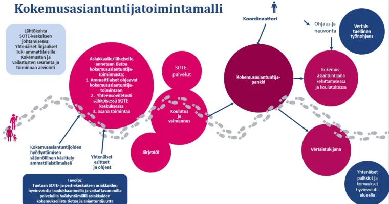 SOTE- ja perhekeskuksen kokemusasiantuntijamalli