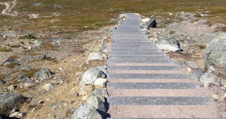 Asiakaslähtöisen hoito- ja palvelupolun geneerinen malli verkkosivuille