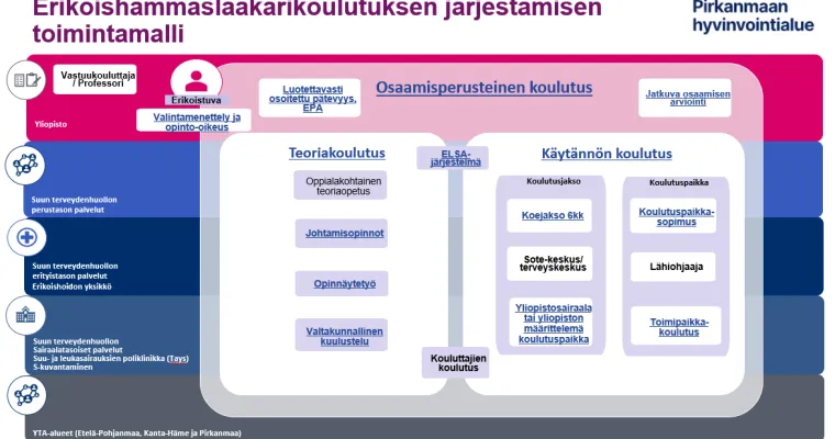 Erikoishammaslääkärikoulutuksen järjestämisen toimintamalli Pirkanmaan hyvinvointialueella