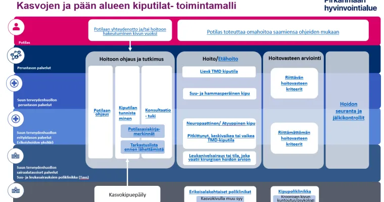 Kasvojen ja pään alueen kiputilat- toimintamalli Pirkanmaan hyvinvointialueella
