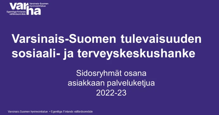 Järjestöavustusten valmistelu Varsinais-Suomessa