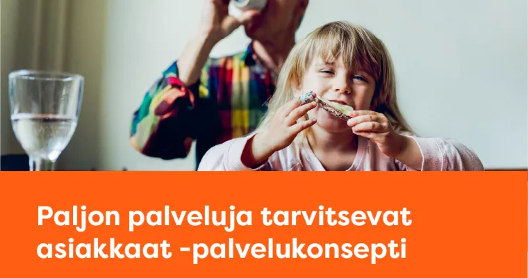 Palvelukonsepti paljon palveluja tarvitseville asiakkaille
