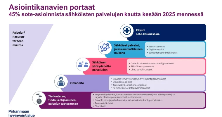 Pirkanmaan hyvinvointialueen digitaalisten palveluiden tasot