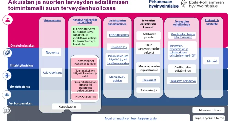 Aikuisten ja nuorten terveyden edistämisen toimintamalli suun terveydenhuollossa