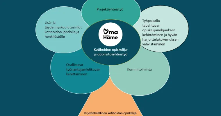 Kotihoidon opiskelija- ja oppilaitosyhteistyön malli