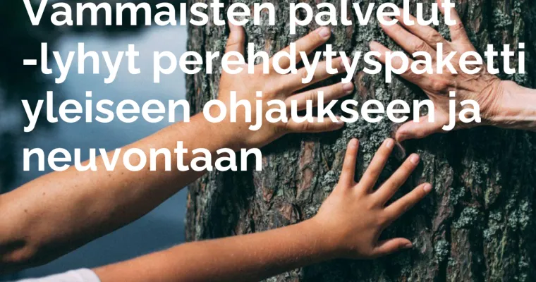 Vammaispalvelun perehdytyspaketti sote-ammattilaisille