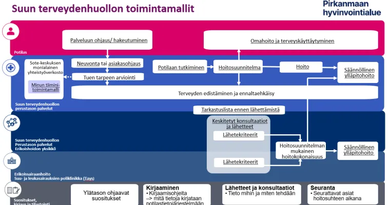 Pirkanmaan hyvinvointialueen suun terveydenhuollon toimintamallit