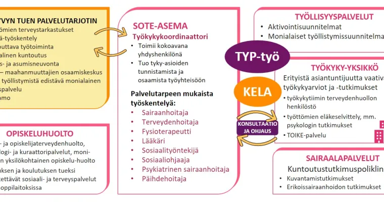 Työkykykoordinaattori työkyvyn tukena