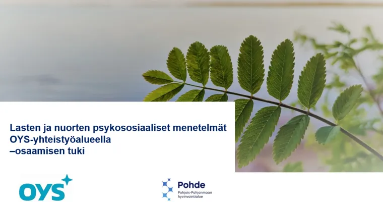 Lasten ja nuorten psykososiaaliset menetelmät OYS -yhteistyöalueella -osaamisen tuki 