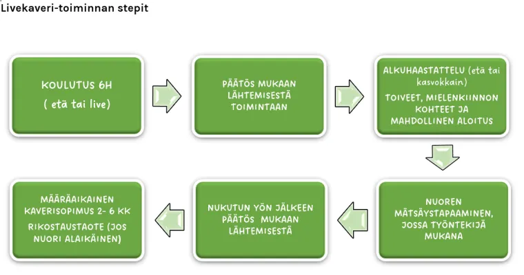 MEIJÄN KAVERI -toiminta nuorille mielenterveystoipujille