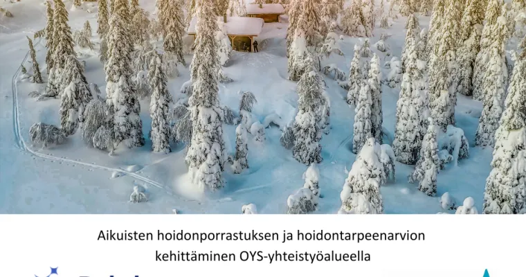 Aikuisten hoidonporrastuksen ja hoidontarpeenarvion kehittäminen OYS-yhteistyöalueella