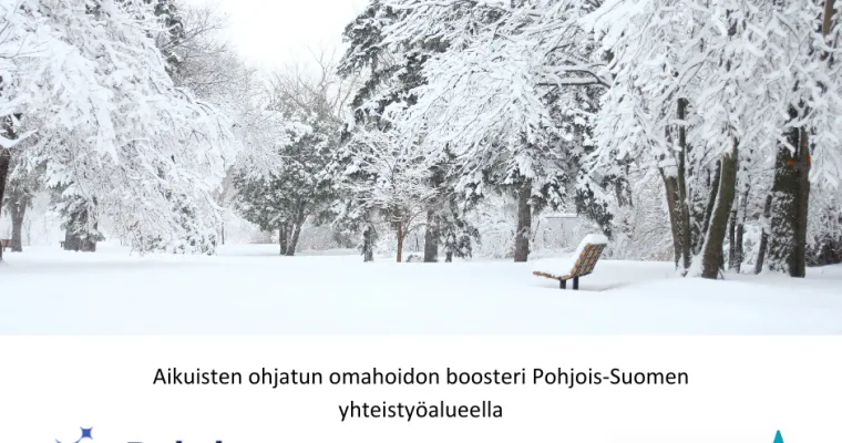 Aikuisten ohjatun omahoidon boosteri Pohjois-Suomen yhteistyöalueella
