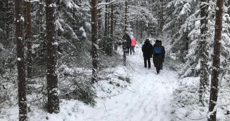 Luontovoimaa ja vastavuoroista oppimista