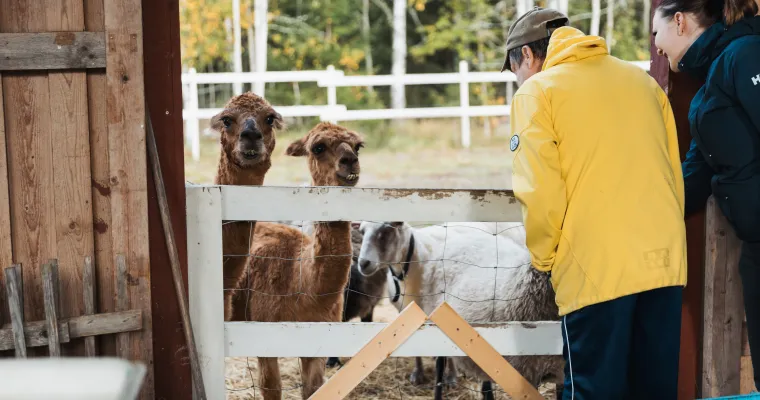Ikääntyneiden sosiaalinen kuntoutus Päijät-Hämeessä