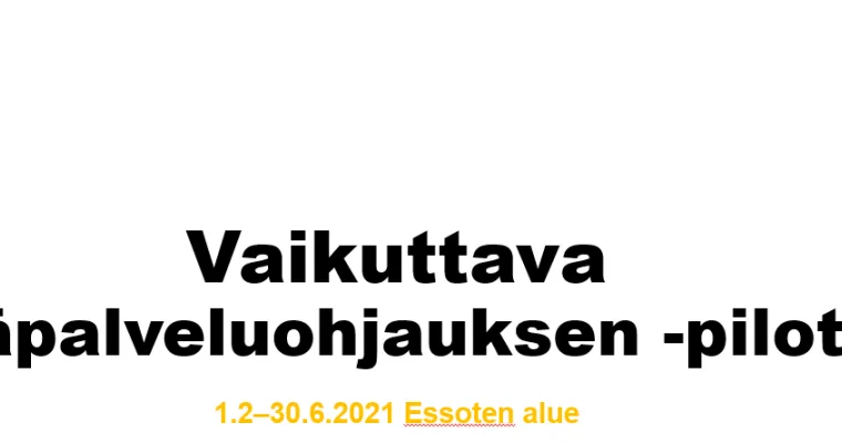 Vaikuttava etäpalveluohjaus: Mielenterveys- ja päihdepalvelujen sekä aikuissosiaalityön asiakkaiden etäryhmät