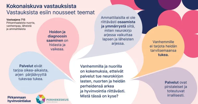 Nepsy-työn keskeiset haasteet ja ratkaisumahdollisuudet - ilmiölähtöinen kehittäminen