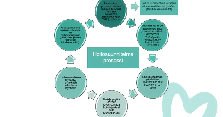 Terveys- ja hoitosuunnitelmien edistäminen sekä prosessi Kanta-Hämeen hyvinvointialueella