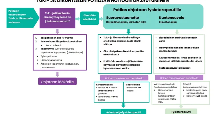 Tuki- ja liikuntaelin potilaiden kiireellinen ja kiireetön fysioterapia Lapin hyvinvointialueella
