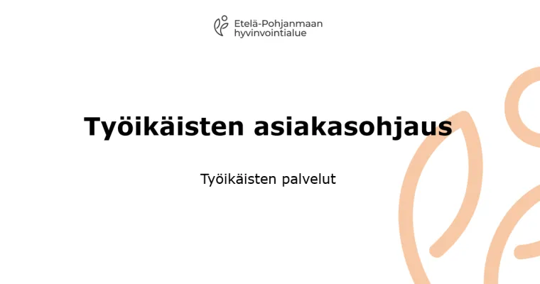 Työikäisten asiakasohjaus 