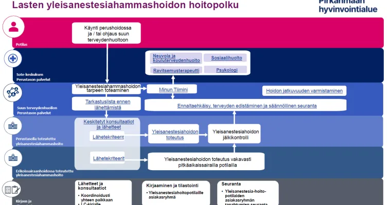 Lasten yleisanestesiahammashoidon hoitopolku Pirkanmaan hyvinvointialueella
